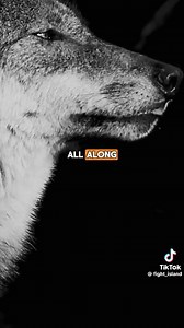 53K views · 1.3K reactions | 3 important life lessons! | Dream Catchers | Facebook