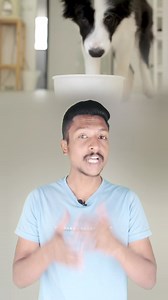 1.7K views · 32 reactions | Why Do Dogs Pant?  Discover the Reason in Seconds! #WhyDogsPant #DogFacts #PetCare #DogLovers #CanineHealth #PetTips #AnimalLovers #DogCare #DogsOfInstagram #InstaDogs #DogReel #PetReel #ViralReel #DogBehavior #PetHealth | Punjab Talkz | Facebook