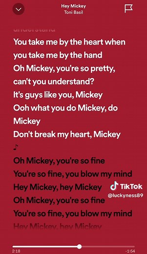 Toni Basil - Hey Mickey Duet Song Lyrics