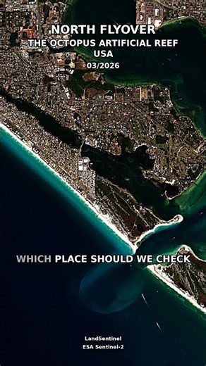The Octopus Artificial Reef - Usa - 2026-03-04 #shorts