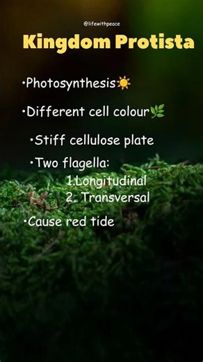 Kingdom Protista #biologicalclassificationclass11 #biology #botany