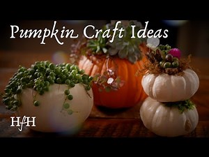 4 Easy DIY Pumpkin Projects | Fall Table Decor, Succulent Pumpkins & Mod Podge Crafts