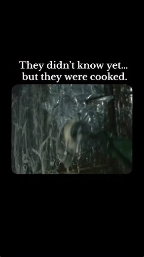 CineMomentsHQ on Instagram: "Chernobyl is a haunting retelling of the 1986 nuclear disaster—where human error, political pressure, and deadly secrecy collided. Through Valery Legasov’s fight for the truth, the series honors the firefighters, workers, and miners who sacrificed everything to contain the catastrophe. Tense, devastating, and brutally realistic, Chernobyl exposes the true cost of lies and the courage it took to stop a nuclear nightmare. Follow @cinemomentshq for more such content! Ri