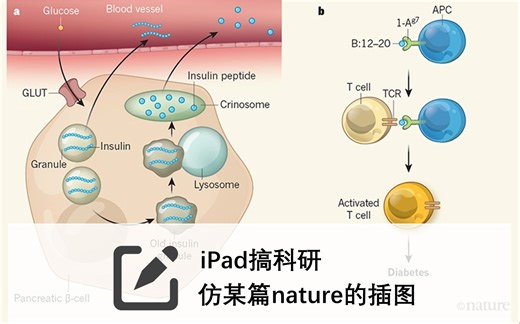 ipad科研画图 徒手模仿nature插图