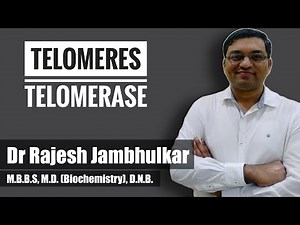 Telomeres and Telomerase