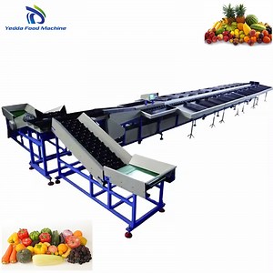 [Hot Item] Professional Heavy-Duty Fruit and Vegetable Weight Sorting Machine