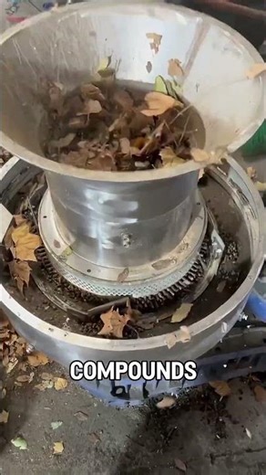 How Dry Leaves Turn Into Fuel