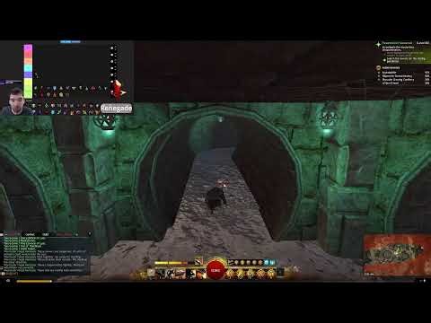 GW2 Warrior leveling and pvp later