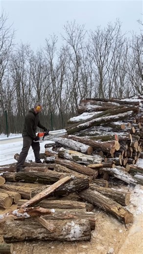 Waney Edge City Lumber Ltd. on Instagram: "Keep on keeping on! #chainsawwork #stihlms462 #firewood #acacia 👌👍💪"
