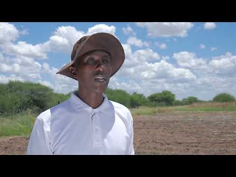 TOMATOE Farming in Botswana 2023 | Farmers voice Episode 28