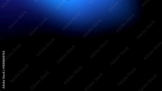 Apply film burn transition to museum and art gallery tours for a refined finish