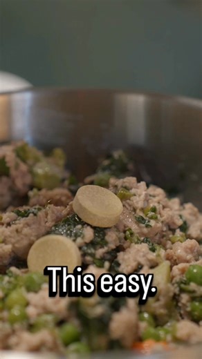 You shouldn’t need tricks, cheese, or a battle plan just to give your dog joint care. That’s why we made this for Great Danes, Mastiffs, and other 100lb giants, a daily chew that goes down easy and delivers real results. | The Big Dog Co.