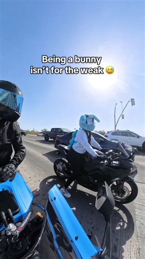 Bunny's Motorcycle Adventure: Couple Biker Life