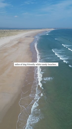 The perfect dog-friendly getaway in the heart of Northumberland 📍🐶 Our cottages offer the ideal retreat for you and your furry friend. From long walks along the coastline to cosy evenings by the fire, we’ve got it all 🥰 🌊 coastal & countryside cottages, lodges & shepherd’s huts 🐶 dog-friendly 🛌 sleeps 2-10 guests 🛁 hot tubs 🧑🏻‍🍳 garden bbq’s 🪴 private and secluded gardens We can also accommodate parties of up to 56 guests, please get in touch for more info! #northumberland #ukstaycati