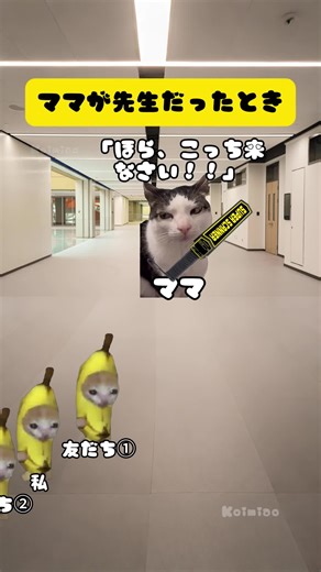 猫ミーム：ママが先生だったときのあるある