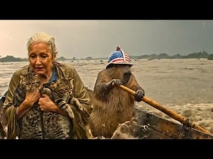 Capybara’s Most Heartfelt Rescues ❤️ From Grandma to Fragile Animals