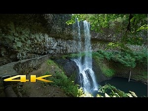 Silver Falls State Park Oregon 4k 🇺🇸