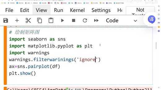 Python数据分析项目：汽车数据可视化与相关性分析_Python_Python案例_Python项目 6-2 详解pairplot()函数