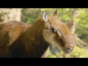 Prehistoric Planet Ice Age [2025] - Macrauchenia Screen Time