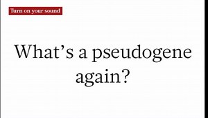 In this week's Nature Podcast we discuss the challenges facing young scientists, pseudo-pseudogenes, and the history of HIV in the US. Listen in to the full podcast here: http://go.nature.com/2eXrKCl | Nature Portfolio