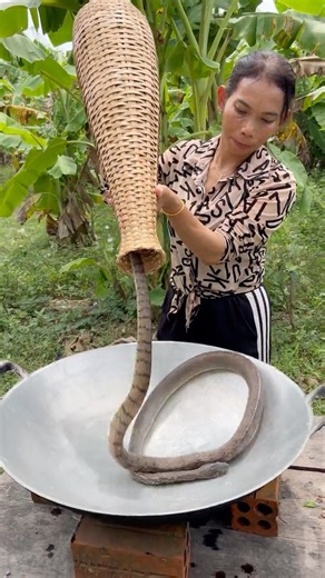 Snake Soup Recipe #snake #soup #recipe