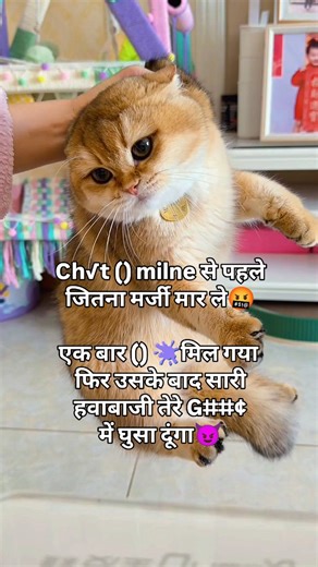 Meow meme on Instagram: "#viral #reel #instagram #trending #catlover #explore #meme"