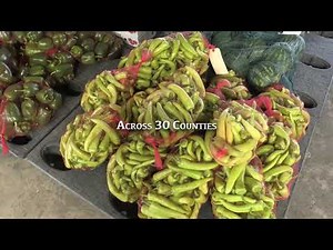 Chesterhill Produce Auction