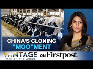 China Creates "Super Cows" | Cloning in China | Vantage with Palki Sharma