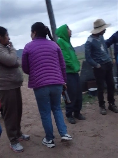 #arbolito deshojado #sombra no ah de tener...