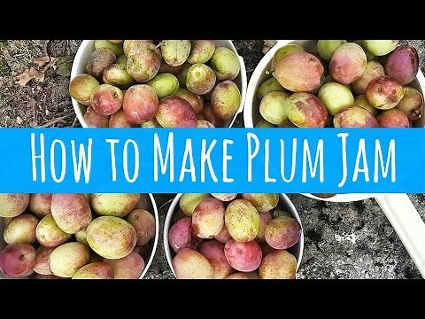 HOW TO MAKE PLUM JAM
