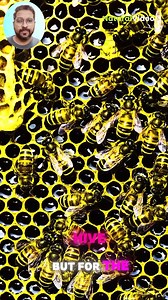 10K views · 6 comments | The Life of a busy honey bee #facts #reelschallenge #nature | Natural Video | Facebook