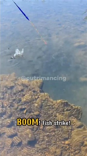 Crazy Last-Second Fish Strike! Float Fishing Explosion #fishing #fishingvideo #shorts