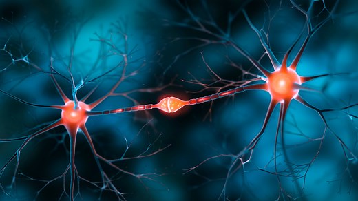 China: AI model simulation mimics human brain’s internal complexity