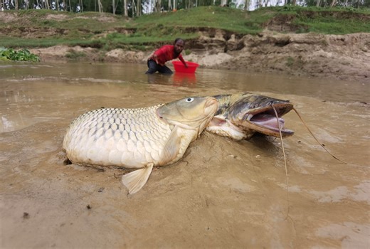 649K views · 1.8K reactions | Wow Amazing big stuck fish catching form river side dry place underground #fish #fishing #fishingtime #fishinglife | Catch Fish With ET | Facebook