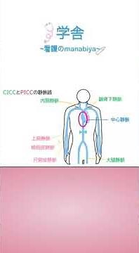 CVとPICCの違い#特定看護師 #看護師＃中心静脈カテーテル＃PICC＃新人看護師＃中堅看護師