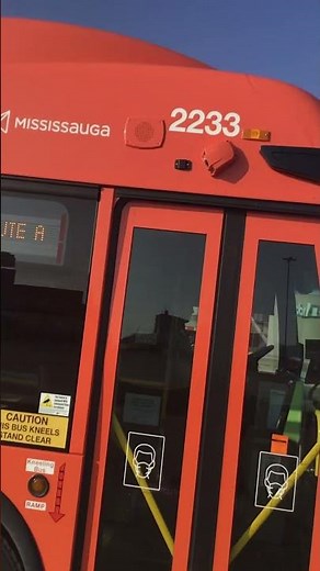 #shorts MiWay Transit 2233 on route 506 Carassauga Route A Shuttle Bus to Square One Mall