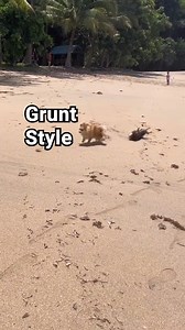 Grunt Style coming in hot! gruntstyle.com | Grunt Style
