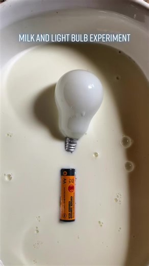 #milk #light bulb #experiment