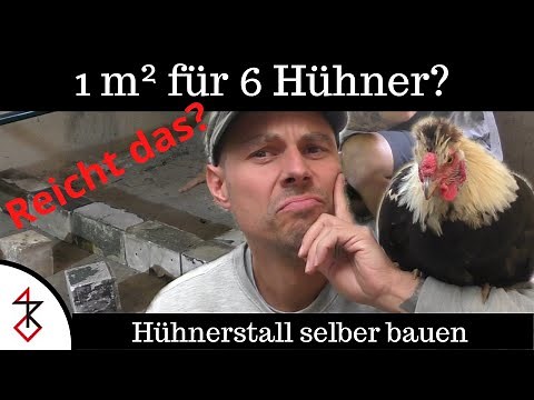 Hühnerstall selber bauen | Reicht 1 m² für 6 Hühner?