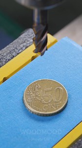 38K views · 399 reactions | Perfect collar for a pet out of a coin | 5-Minute Crafts House | Facebook