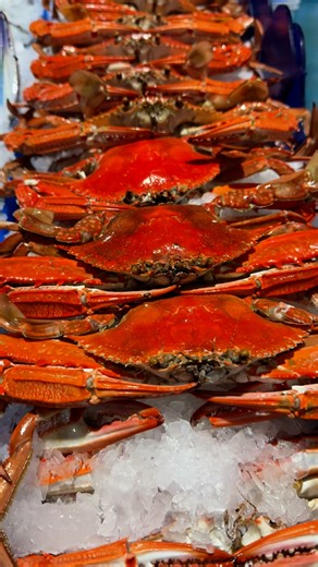 2.6K views · 24 reactions | Mouth watering Monday Tasman Star Seafood Market Tasman Star Seafood Labrador #TastyTreats #tasmanstar #seafoodlovers #goldcoast #mondaymotivation | Tasman Star Seafood Market | Facebook