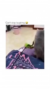 #animals #nature #cats #dogs #pets #cute #cutecat #cutedog #cows #alpacas #pitbulls #rotwilers #farm #fish #koi #farmanimals #funny #wildanimals #turkey #chicken #snakes #kingcobra #ducks #bear #squirrels #parrots #lovebirds #fish #rabbits #viral #viralvideo #garden #food #nature #grow #growbed #gardener #hobby | Philippines Online Shopping Family | Facebook