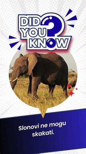 😲Činjenice Koje Šokiraju😲🔊 #travel #shortsvideo #facts #viralvideo #zanimljivosti #zanimljivosti