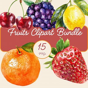 Fruits Clipart Bundle, 15 Transparent Background Pngs, 300 DPI Watercolor Fruits and Fruit Basket Sticker Pack, Fruit Elements Decor - Etsy