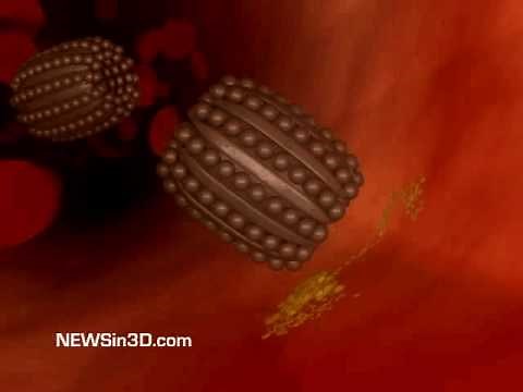 Nanobots Flowing Through a Blood Vessel