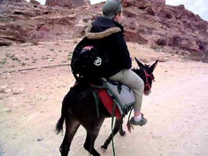 The Donkey Ride In Jorden