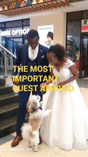 He couldn't wait for us to say "I do!" 😂❤️