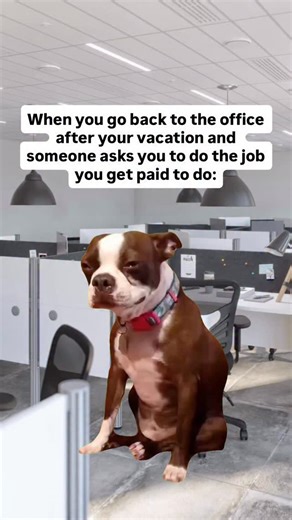 daveyboyyyyyy on Instagram: "#office #work #cry #pto #memes"