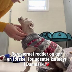 266K views · 4.4K reactions | Se videoen med Solvejs fantastiske...