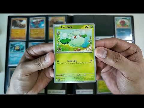 Pokedex Binder Update - 379/1025